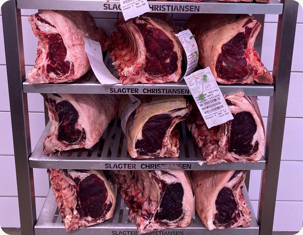 Dry-aged oksekød i Slagter Christiansens modningsskab